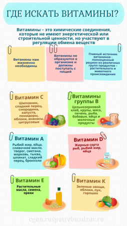 Где искать витамины?
